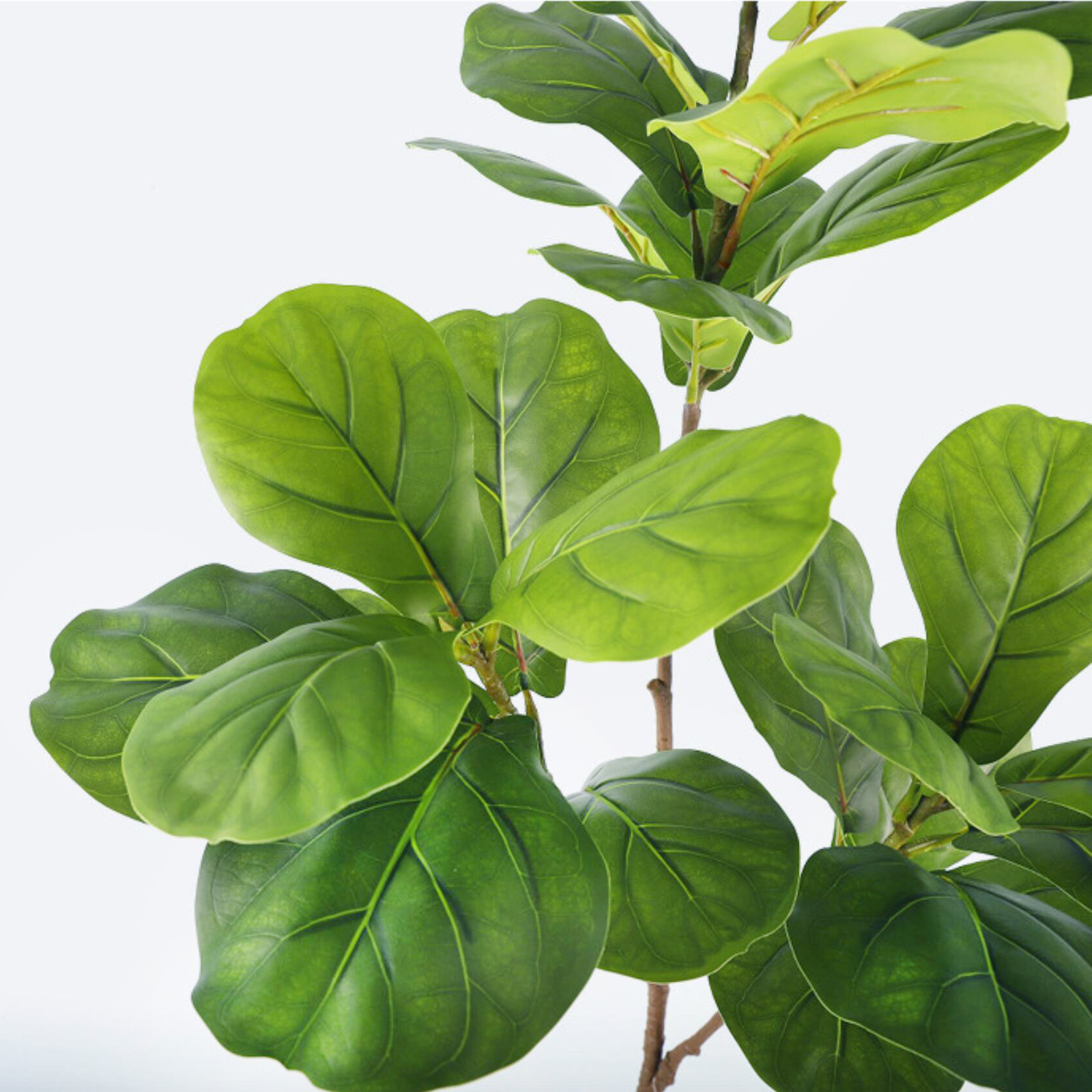 45-135cm  Artificial Fiddle Le - Interior Design Apartment のレビューと価格