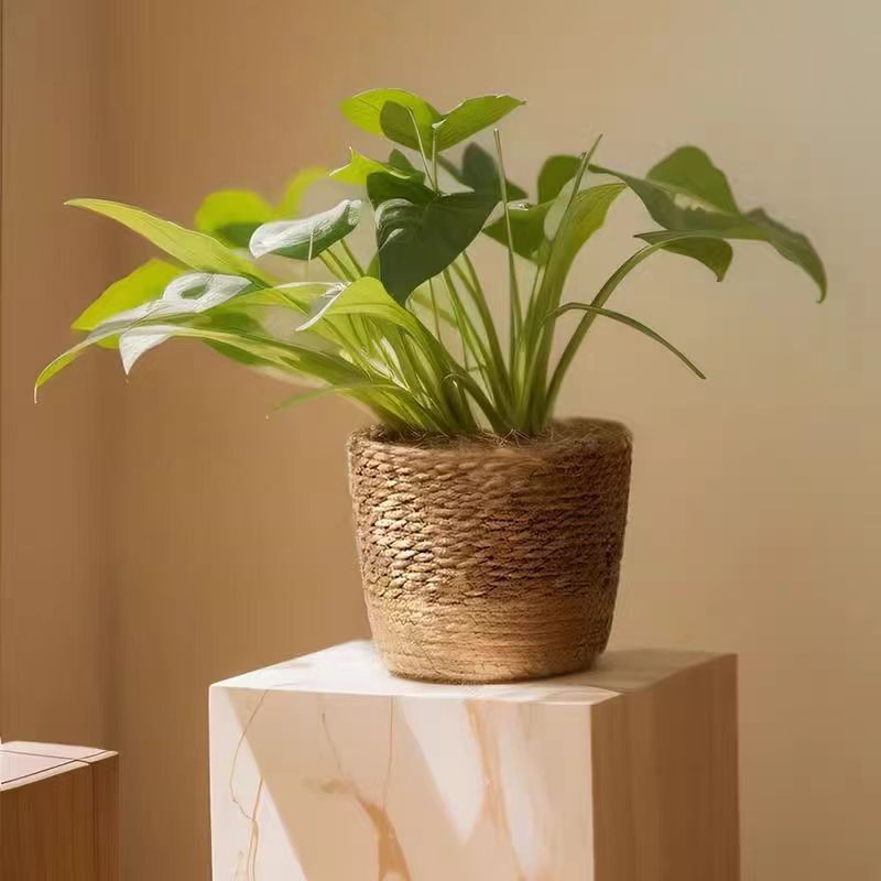 3pcs/set Indoor Nordic Style N - Woven Basket Set のレビューと価格