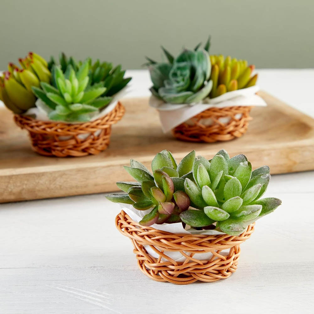 Mini Woven Basket Set - 3.1 x  - Woven Basket Set のレビューと価格