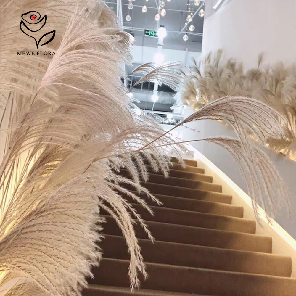 200PCS Natural Dried Fluffy Re - Interior Design Apartment のレビューと価格