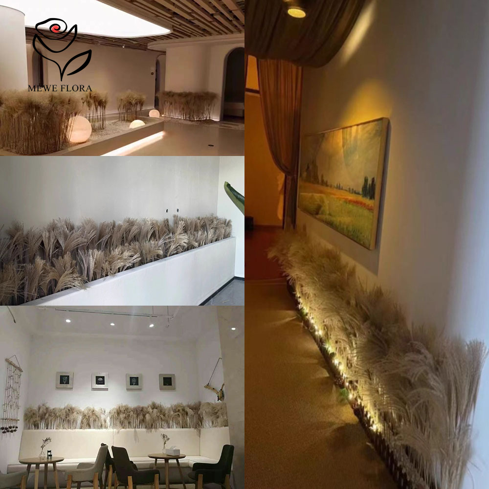 200PCS Natural Dried Fluffy Re - Interior Design Apartment のレビューと価格